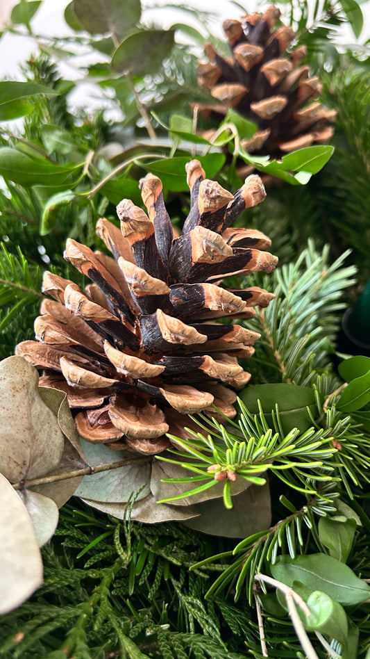 Thuja Tree Decor