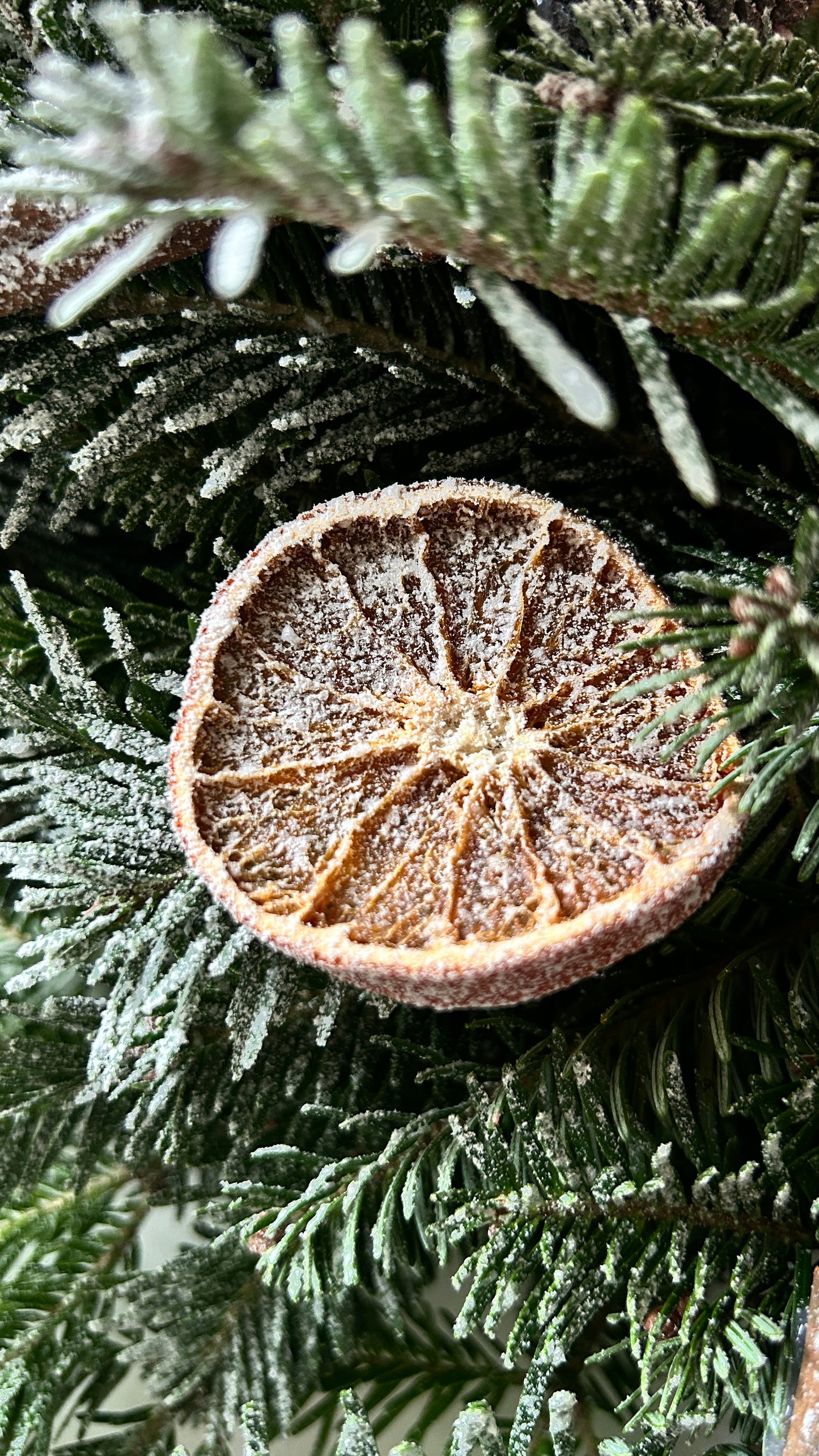 Advent Wreath Snowy Nordic