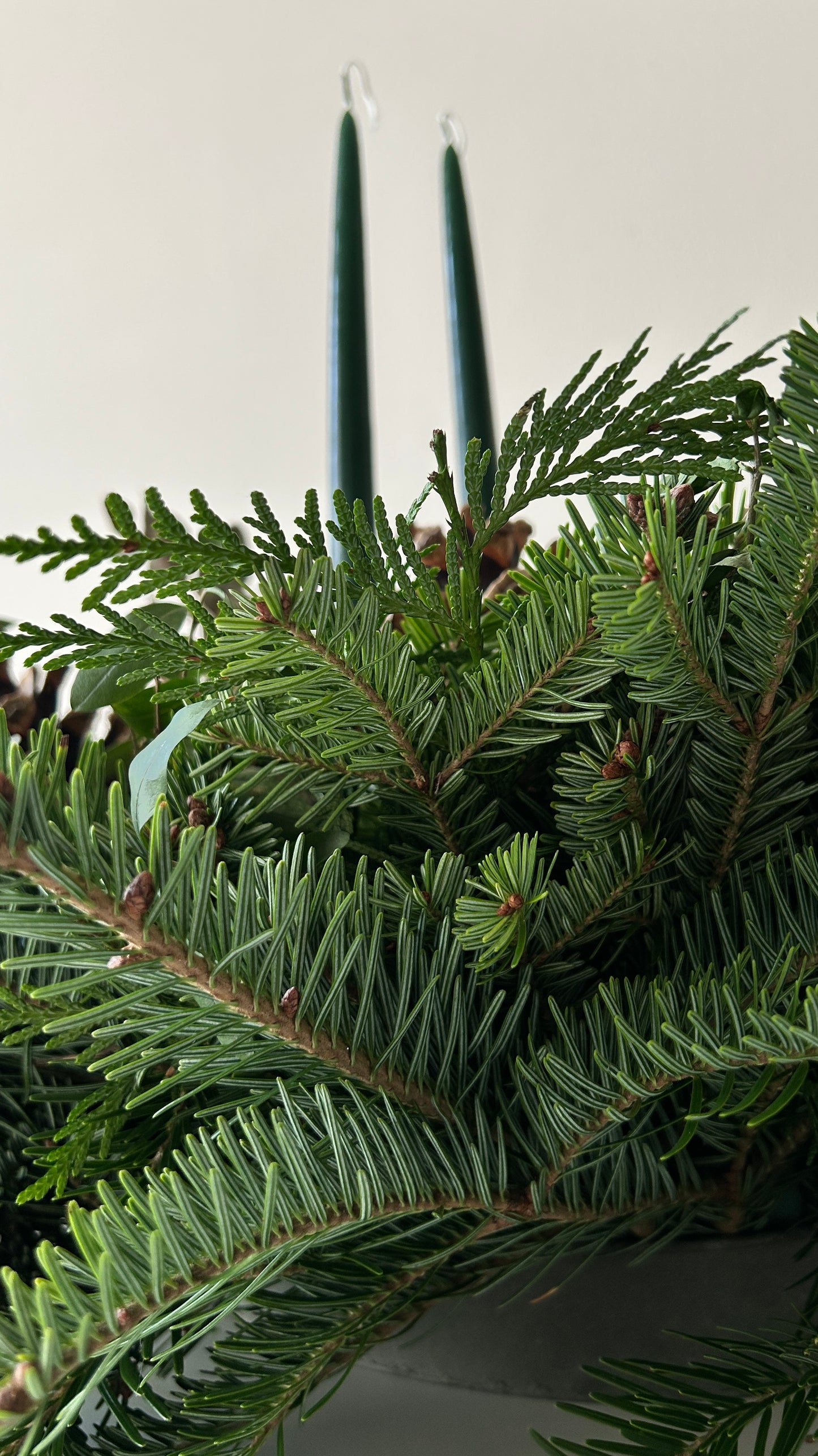 Thuja Tree Decor