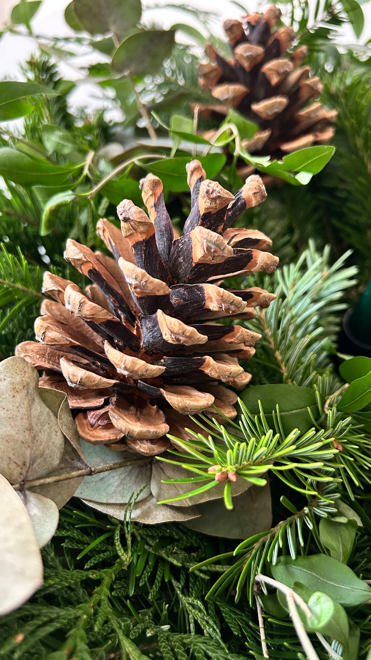 Thuja Tree Decor